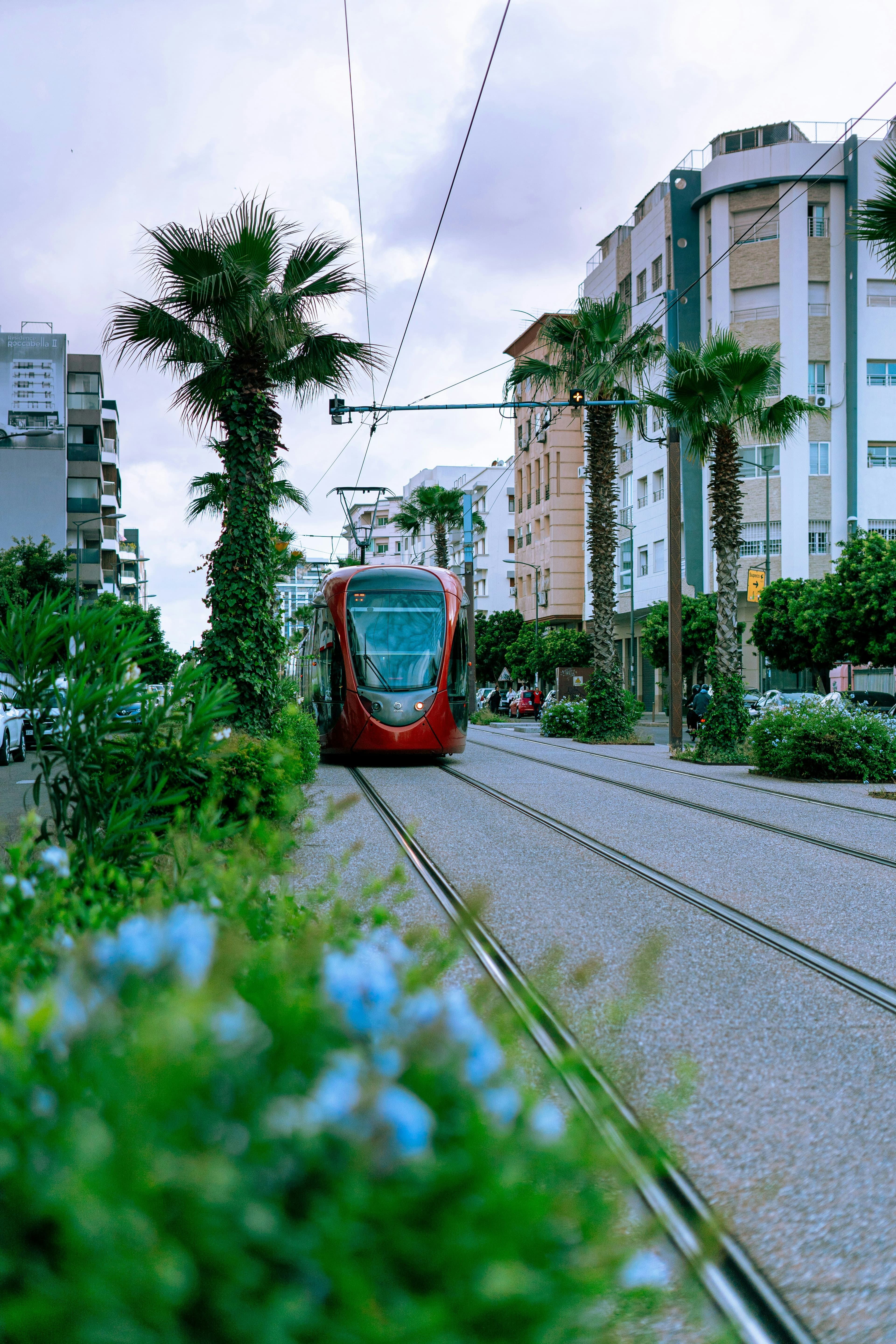 Casablanca